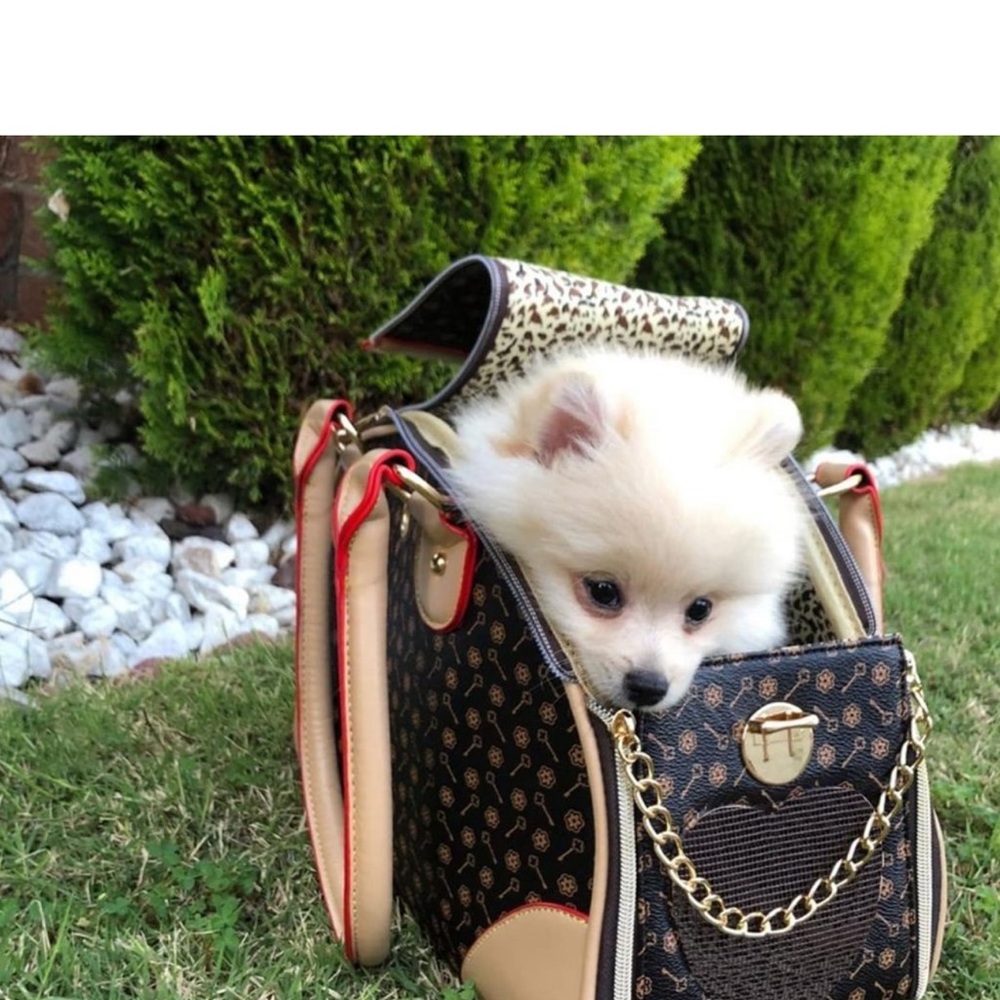 Beige & Brown Stylish Pet Carrier Tote - Picture 7 of 12